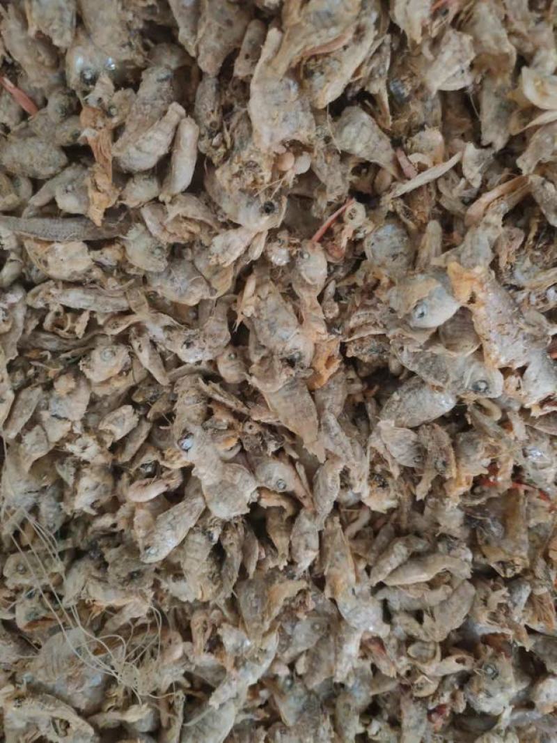 现有一手货源鱼干，干度好，纯度高，盐分低，蛋白高