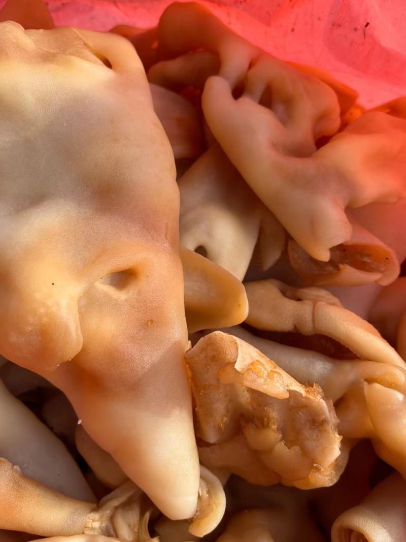 山东省阳信熟羊脸皮真空包装凉拌辣炒做汤