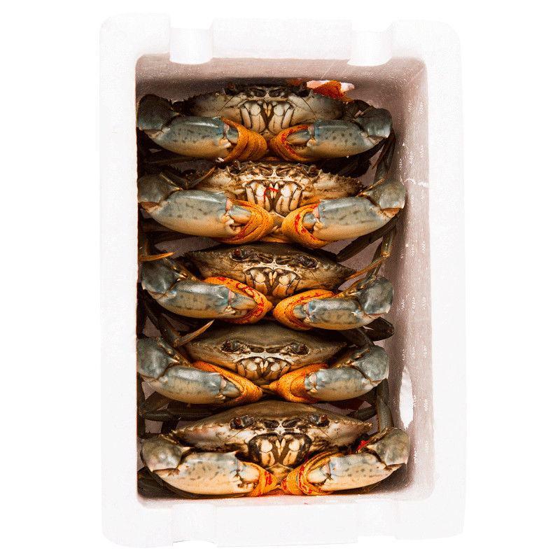 三门青蟹鲜活海鲜水产大红膏蟹海蟹特产公母螃蟹满黄整箱包邮