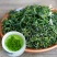 毛冬青茶叶正品云南野生茶特级嫩芽散装天然中药材