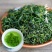 毛冬青茶叶正品云南野生茶特级嫩芽散装天然中药材
