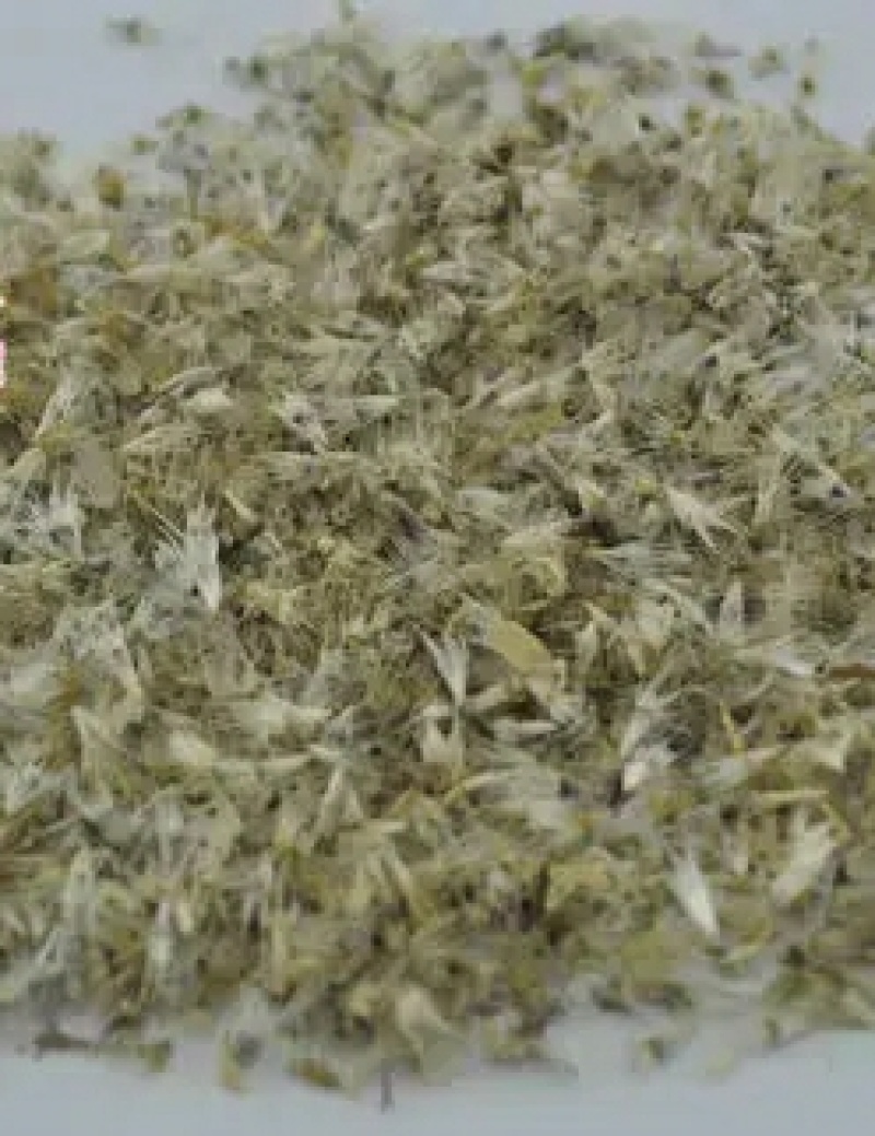 天人菊种子多年生宿根种子耐寒鲜花园林景观绿化花卉种子