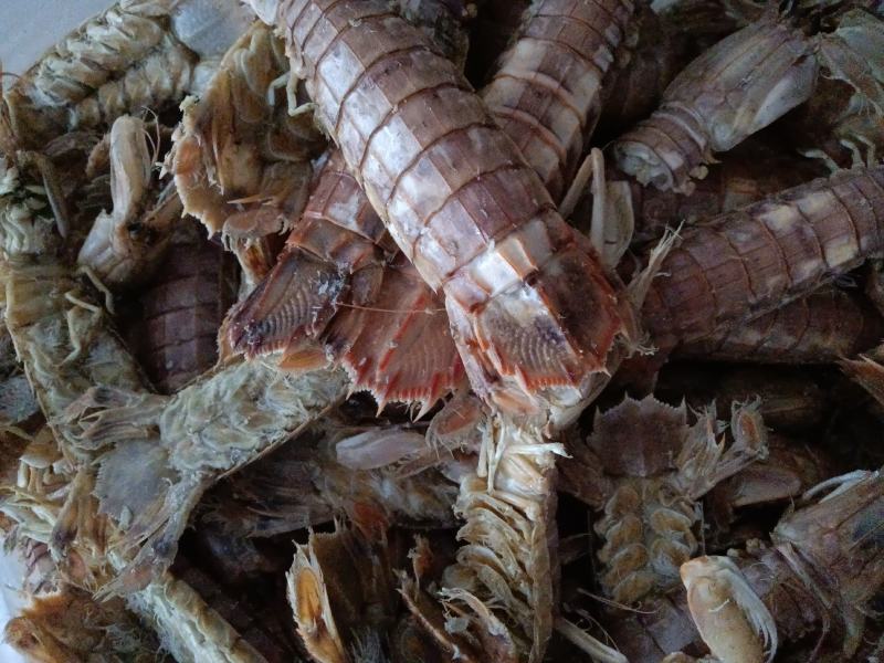 精品琵琶虾沾化地区一手货源规格齐全常年供应价格便宜