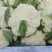 花菜散花白面青梗松花菜鲜花菜市场货电商货