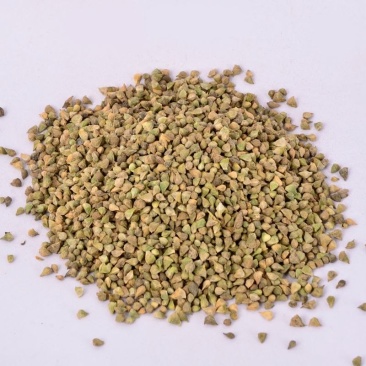蓝花亚麻种子兰花亚麻种籽花籽花种四季易活多年生花卉种籽子
