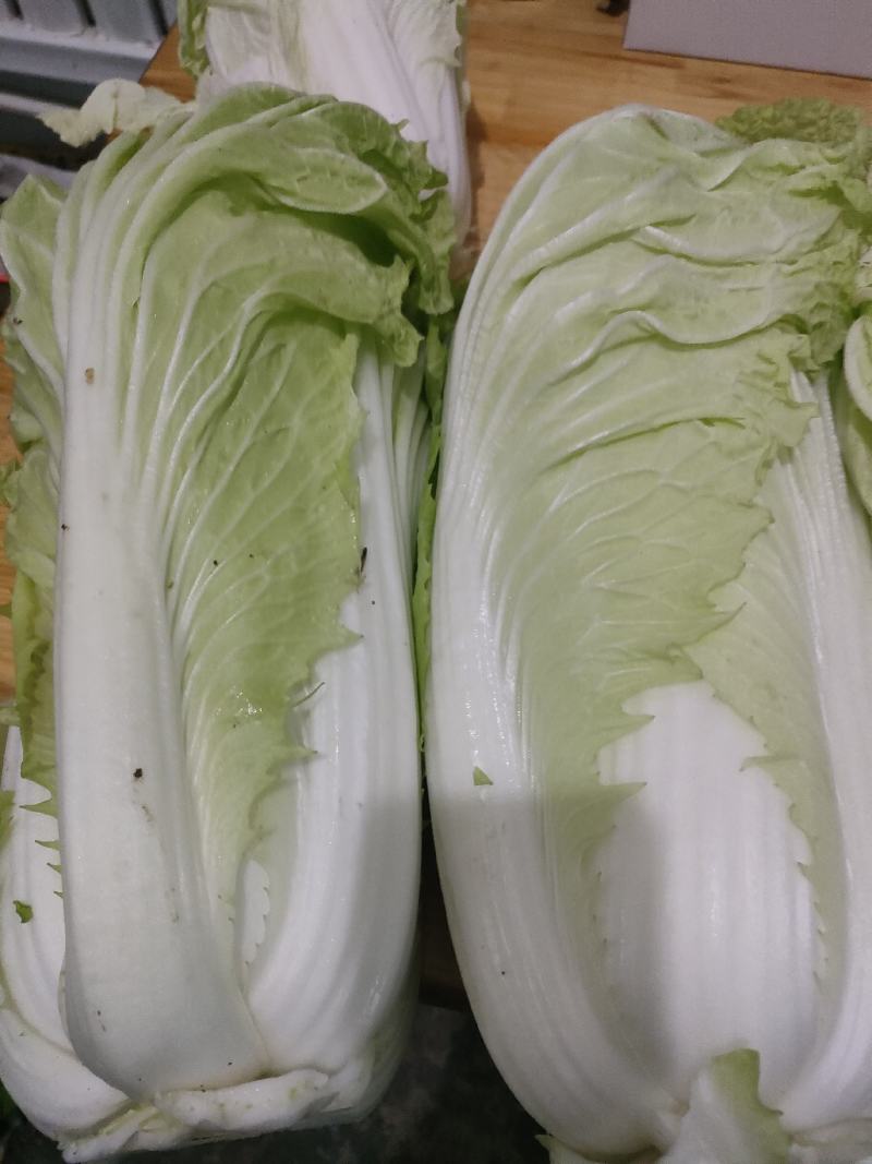 爆头大白菜，保质保量，一手货源，没中间差价实力代收处
