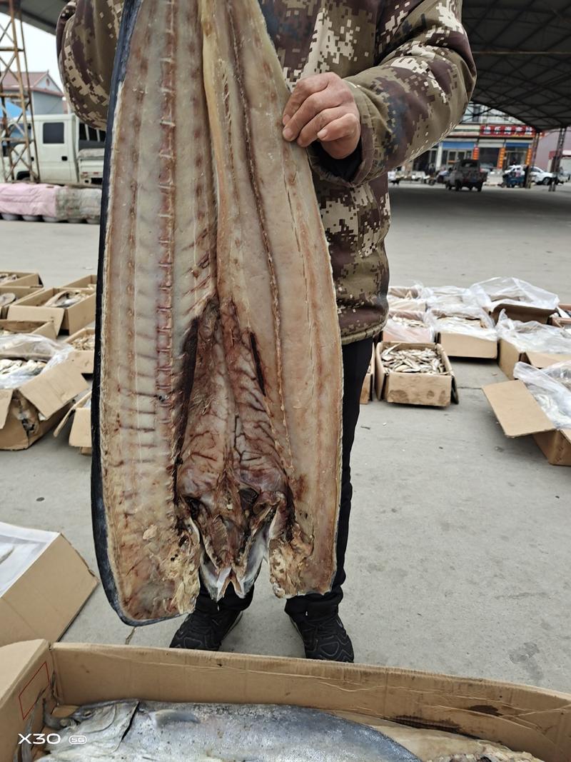 刀鲅鱼咸鱼干每条15斤左右开背去内脏一手货源量大从优