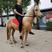 矮马，骑乘小矮马，德堡矮马景区儿童骑乘矮马，可以货到付款