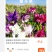 重瓣耧斗菜花种子四季多年生漏斗菜猫爪花种子花卉种籽子
