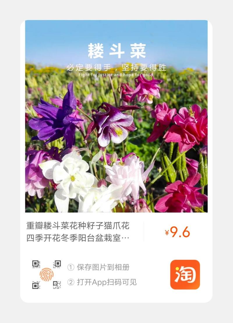 重瓣耧斗菜花种子四季多年生漏斗菜猫爪花种子花卉种籽子
