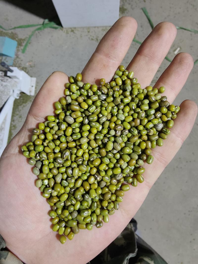 缅甸毛杂豆，底塞2.8通货，可按要求做规格，包装，斤称