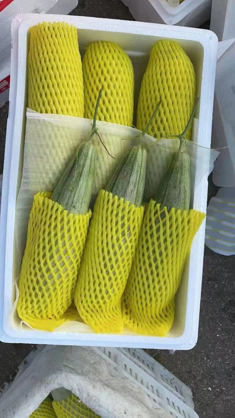 田马市场专业代收小韩有需要的老板联系