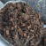 麦粒种含量80%以上河南羊肚菌菌种亩产可达1000斤以上