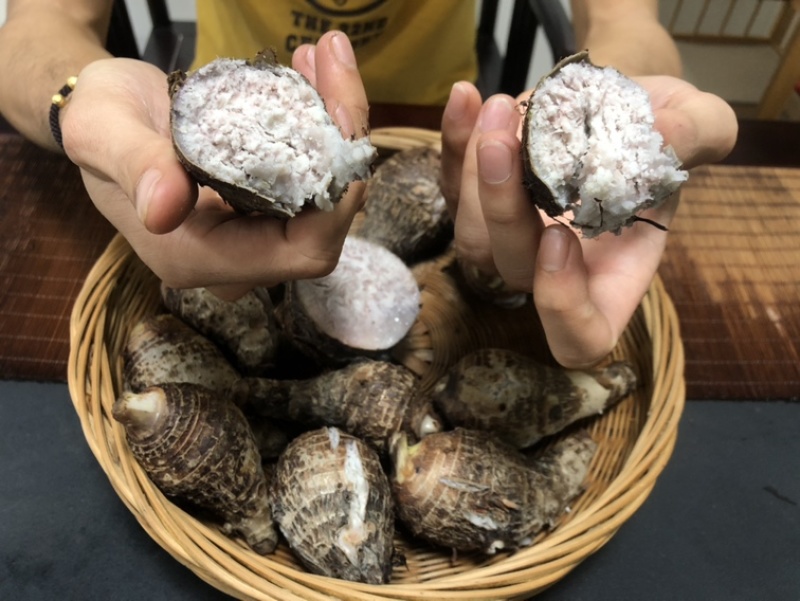 正宗荔浦芋头，一件代发，整车发货，产地优质货源
