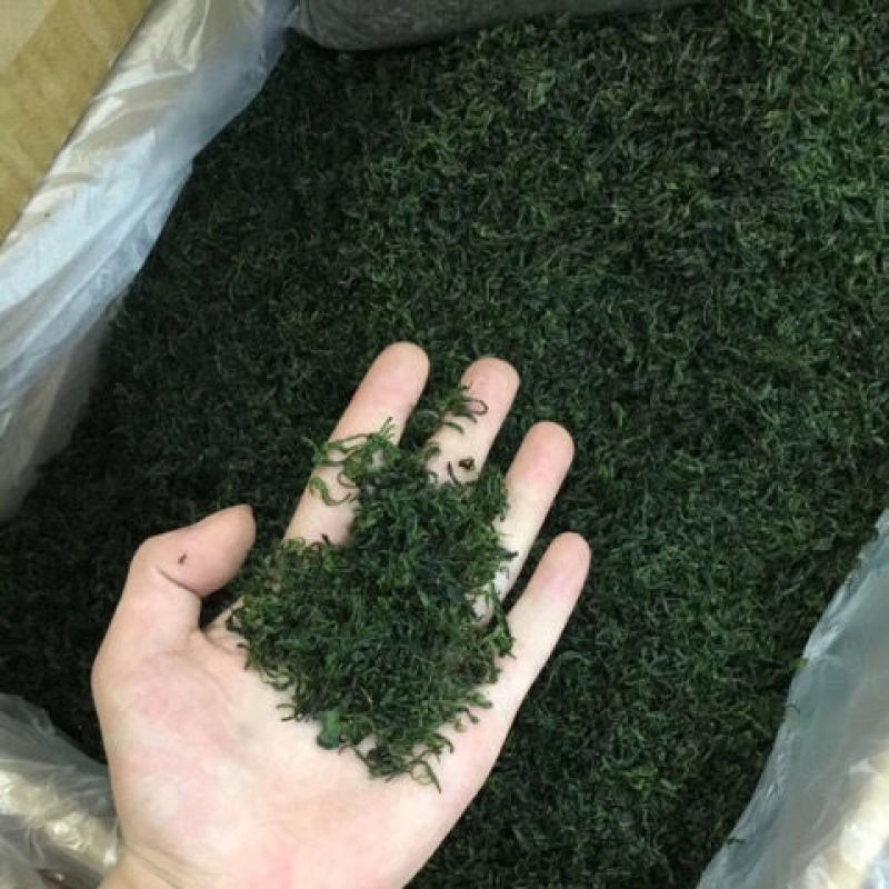 苦丁苦丁茶小叶苦丁茶大叶苦丁茶农副产品