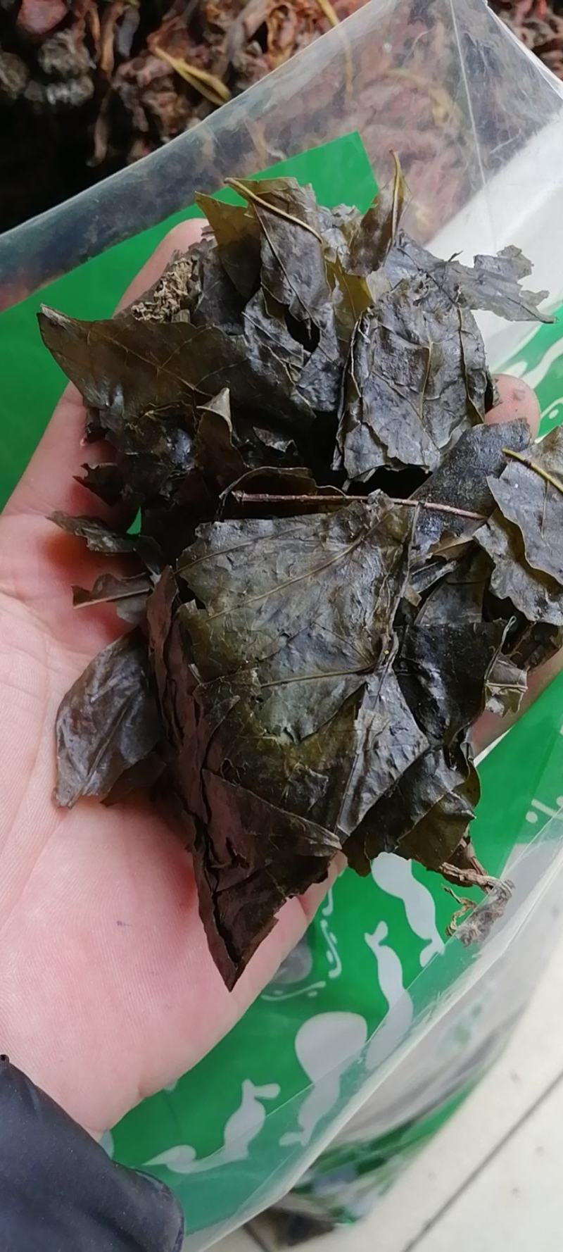 苦丁苦丁茶小叶苦丁茶大叶苦丁茶农副产品