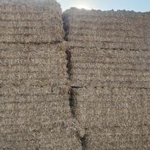 小麦秸秆牛草一次成型二次加压柔不丝，菌草,纸厂草有现货！