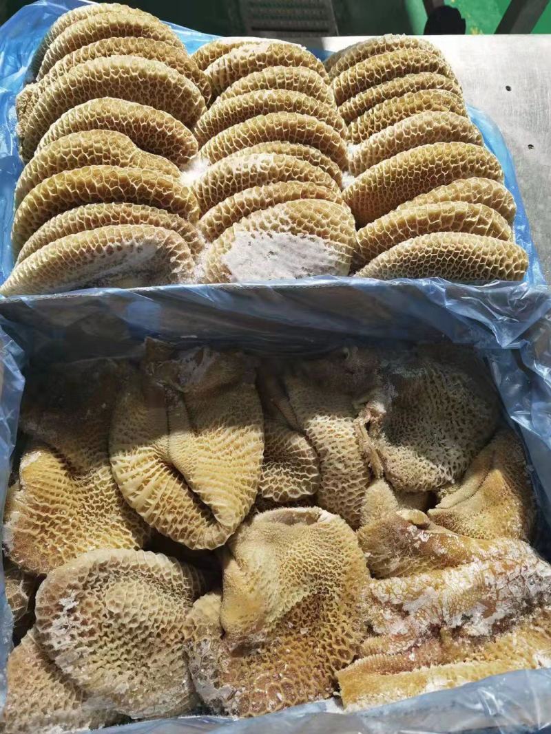 纯干金钱肚，生的，无减法无水泡，之间好一手货源，全国冷链
