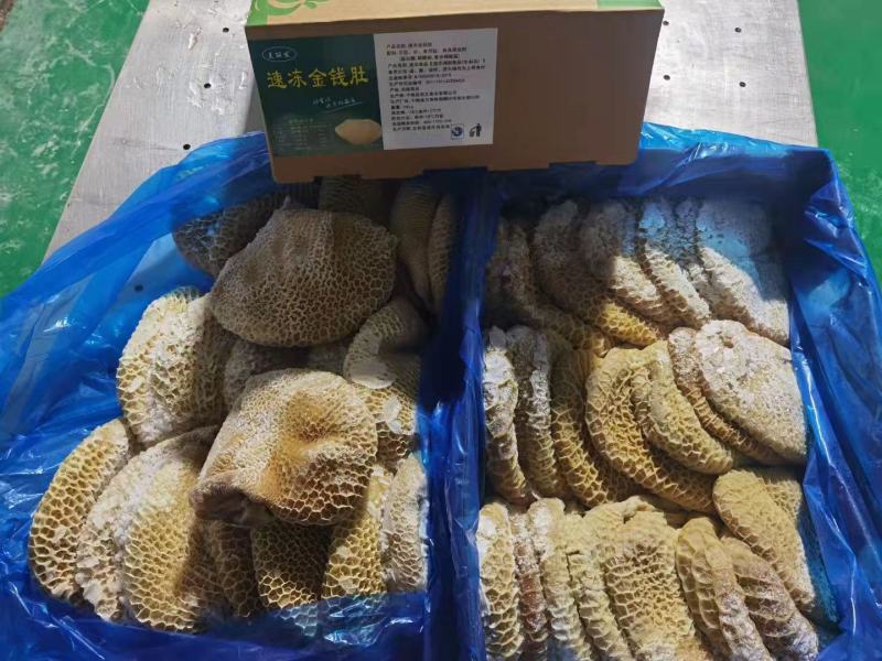 纯干金钱肚，生的，无减法无水泡，之间好一手货源，全国冷链