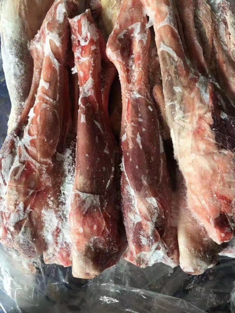 羔羊前棒，后棒肉多质量好，烧烤专用，一手货源，全国冷链发