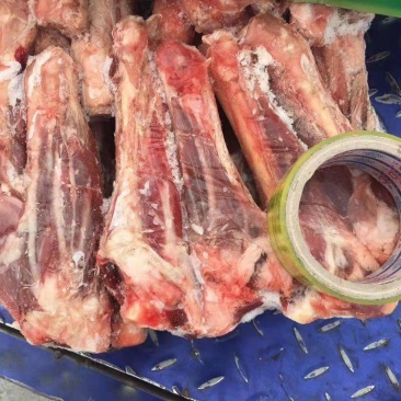 羔羊前棒，后棒肉多质量好，烧烤专用，一手货源，全国冷链发