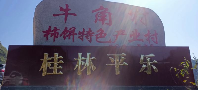 优质农产品，天然风干柿饼