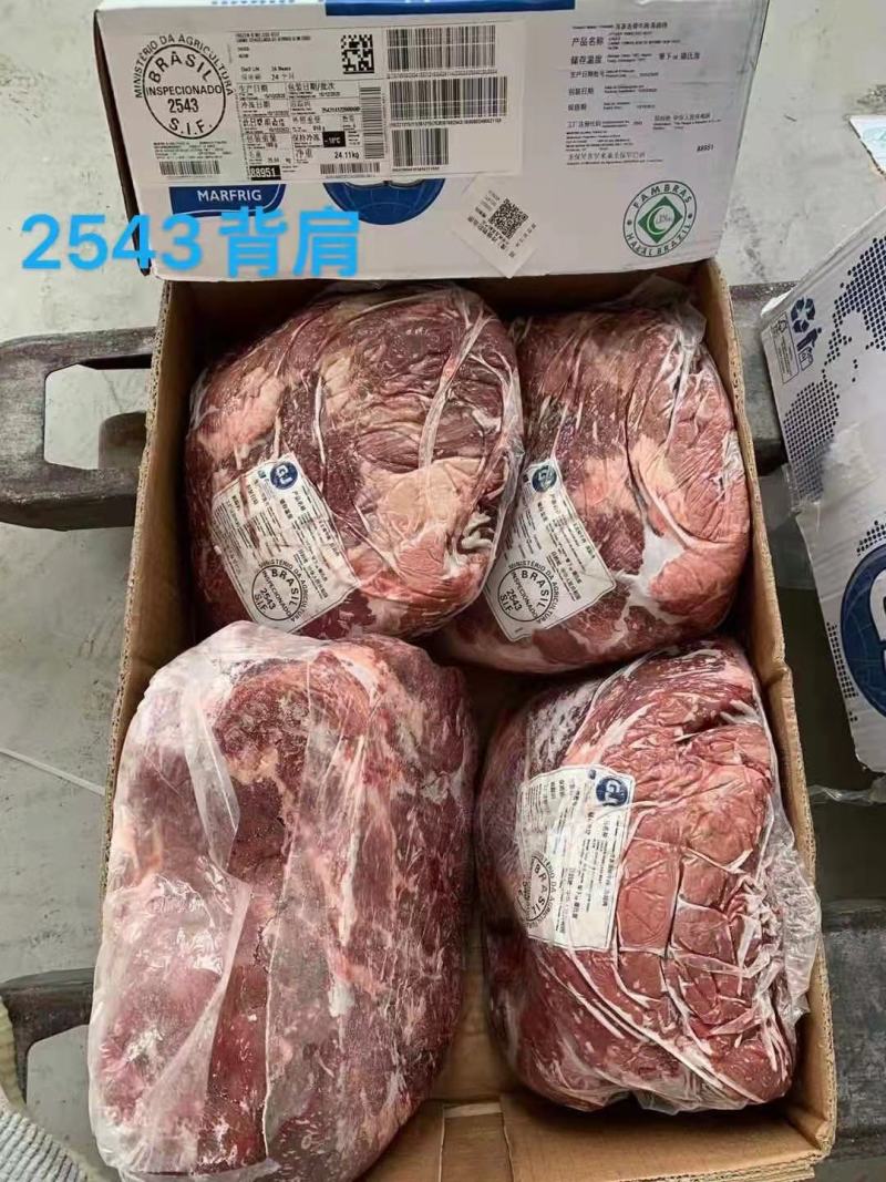 背肩，瘦度高，实拍图片，一手货源，全国冷链发货