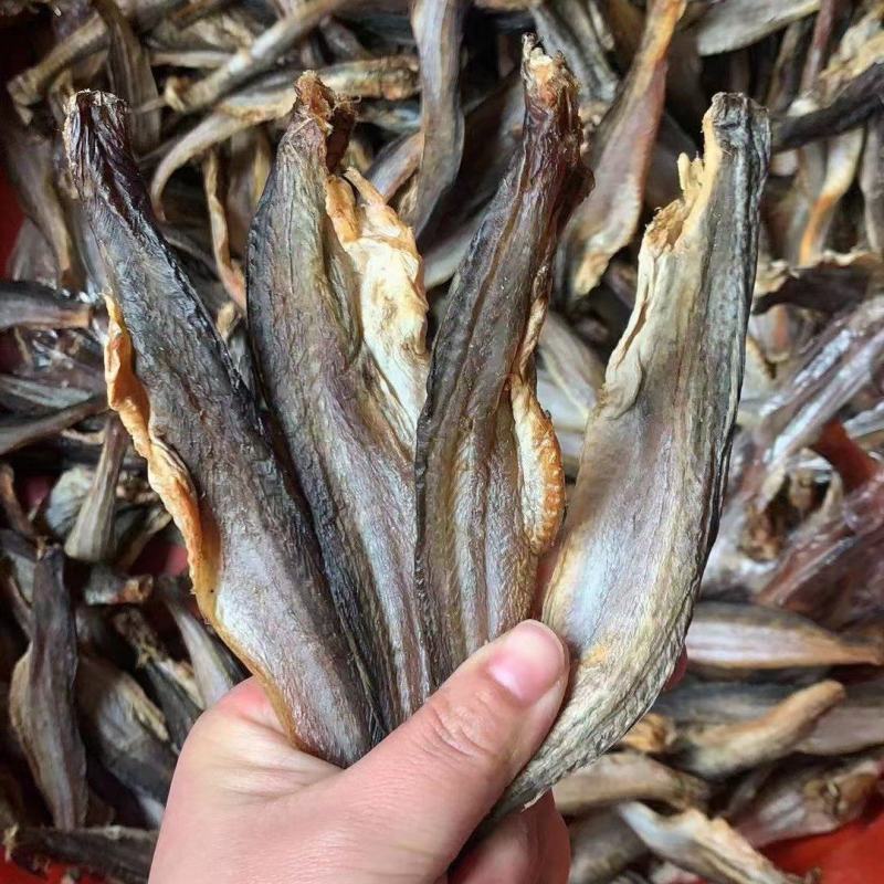 [推选]小龙鱼，大量现货需要联系价格美丽