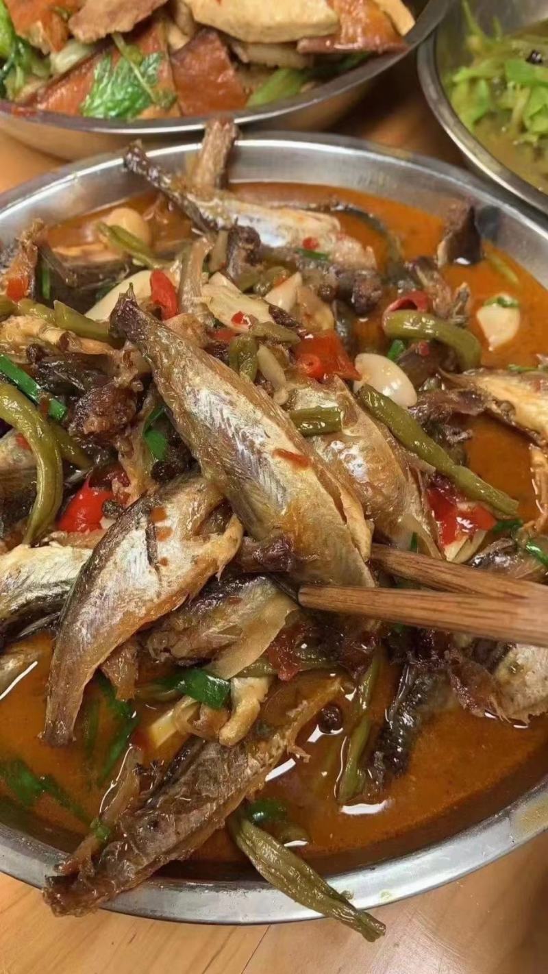 [推选]小龙鱼，大量现货需要联系价格美丽