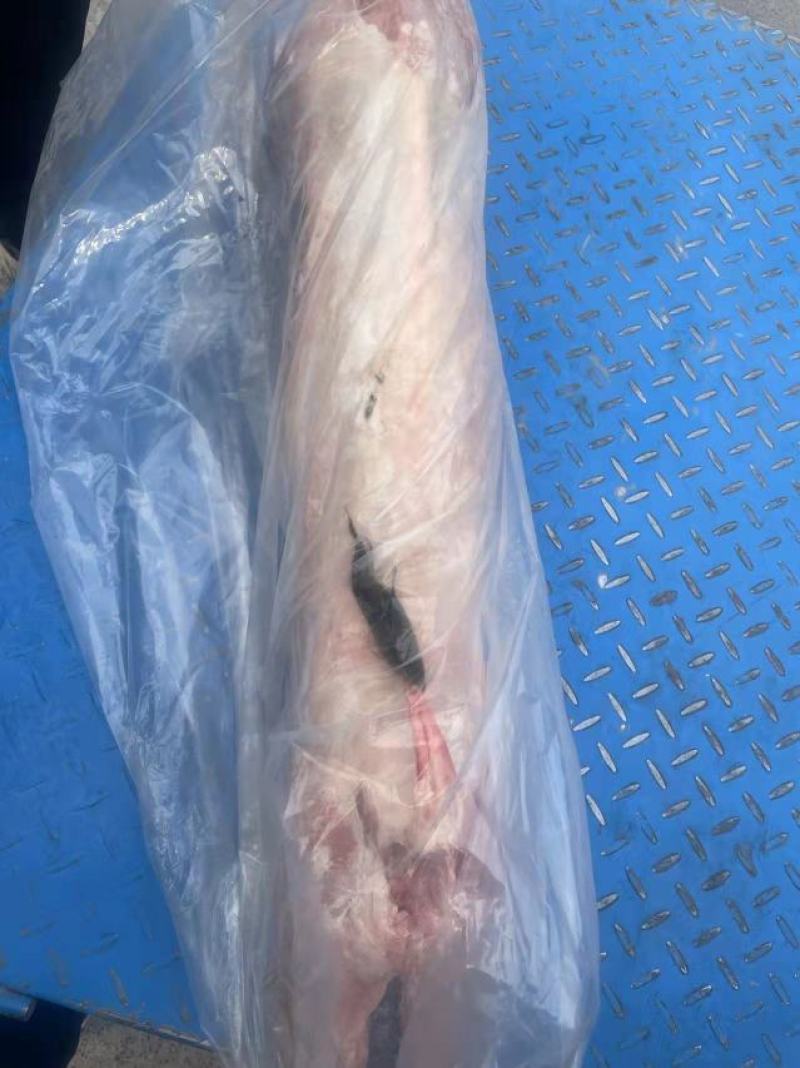 烧烤小全羊，质量保证，客户用着放心，一手货源，全国发货