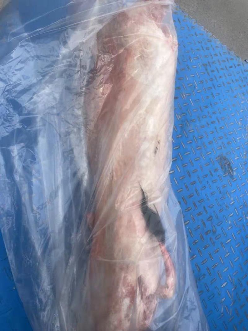 烧烤小全羊，质量保证，客户用着放心，一手货源，全国发货