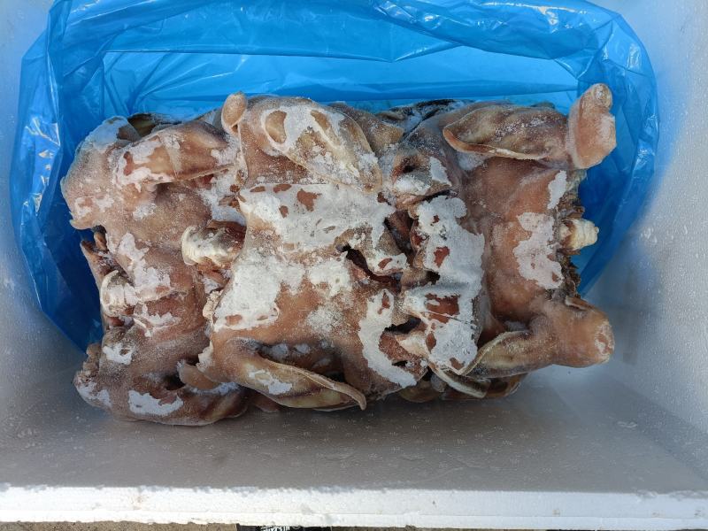 羊头肉，去骨，质量好，实拍图片，一手货源，全国冷链发货