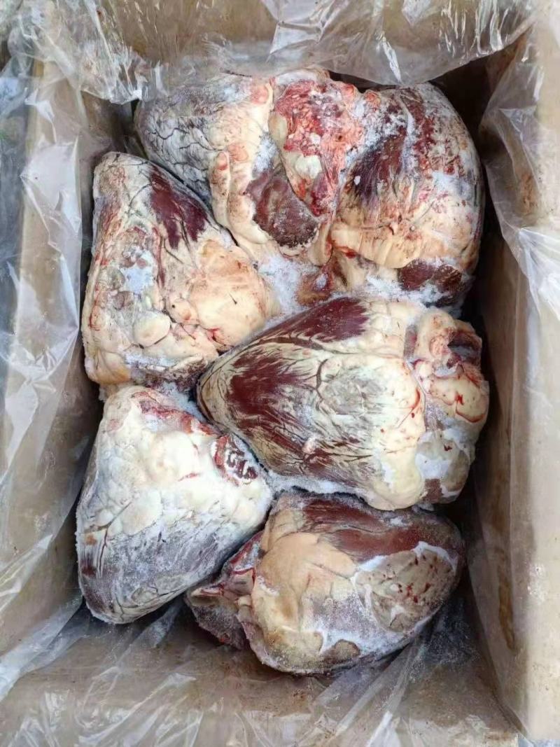 牛心，纯干牛心，质量好，一手货源，全国冷链发货