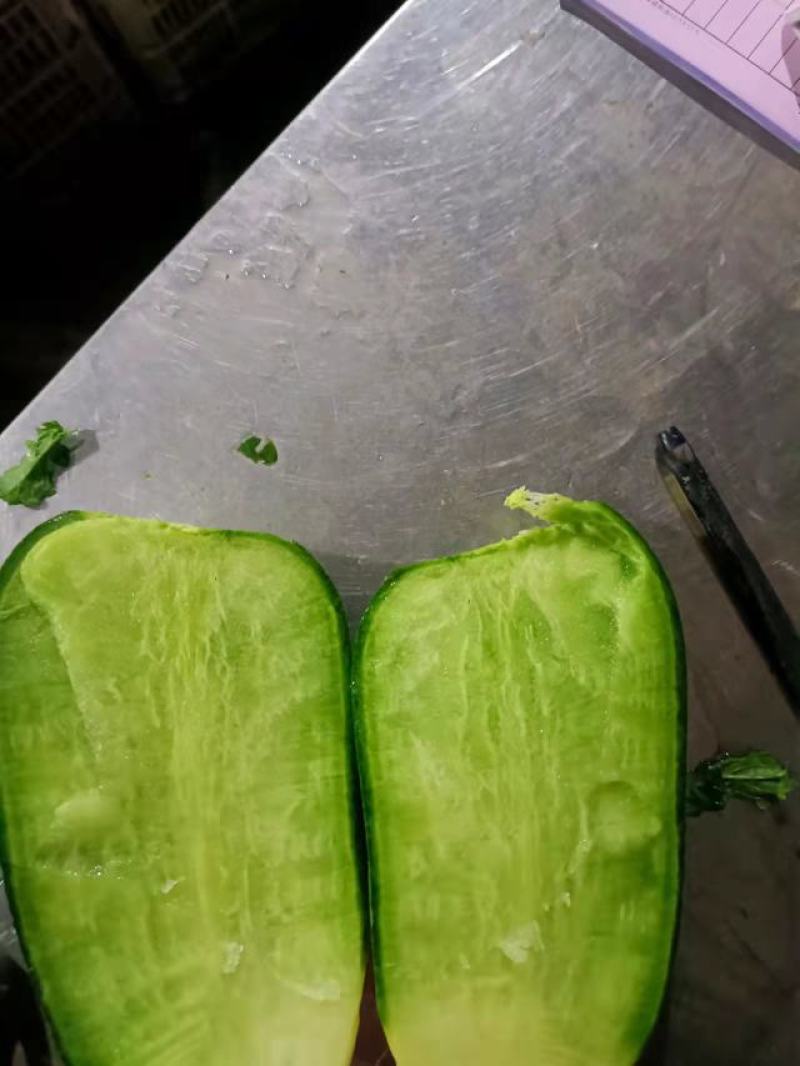 【精品】水果萝卜，绿萝卜现挖现发产地直发量大从优