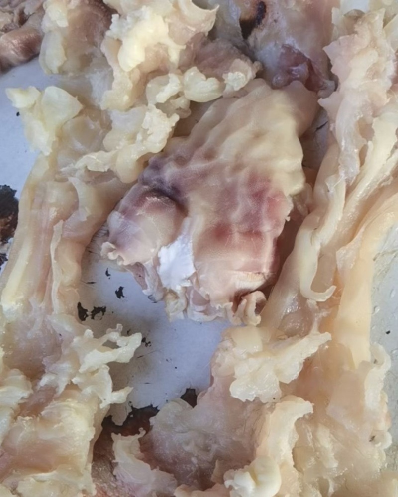 熟牛副筋，实实在在的好货，纯水煮，0添加