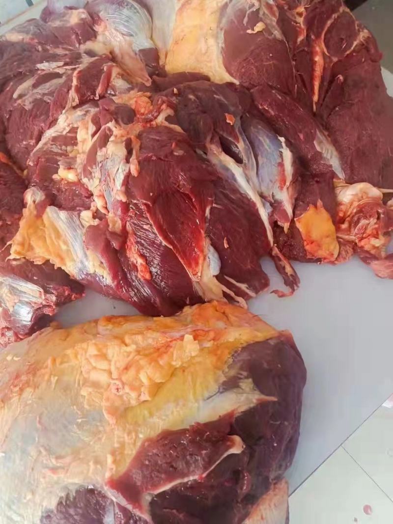 锡林郭勒溜达黄牛肉，纯干新鲜无调理，肉质紧实，口感好！
