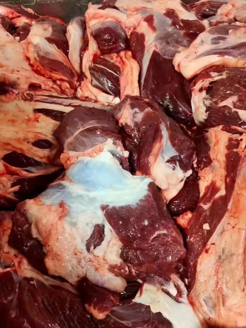锡林郭勒溜达黄牛肉，纯干新鲜无调理，肉质紧实，口感好！