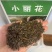大丽花种子小丽花种子多年生宿根花卉种子阳台盆栽庭院种植