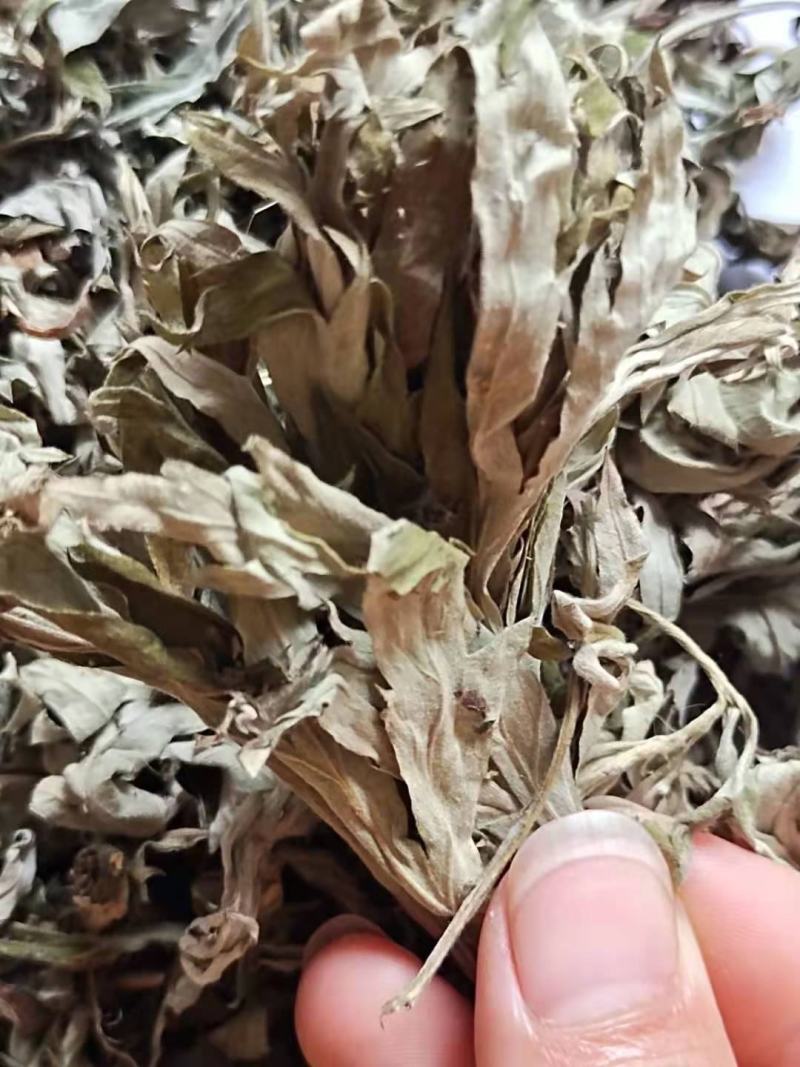 艾叶，质量保证量大从优，产地直销