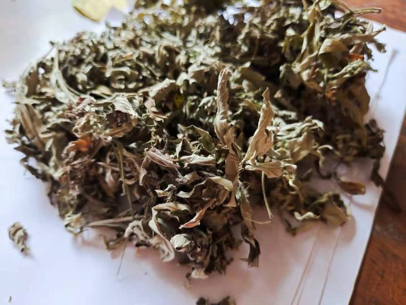 艾叶，质量保证量大从优，产地直销
