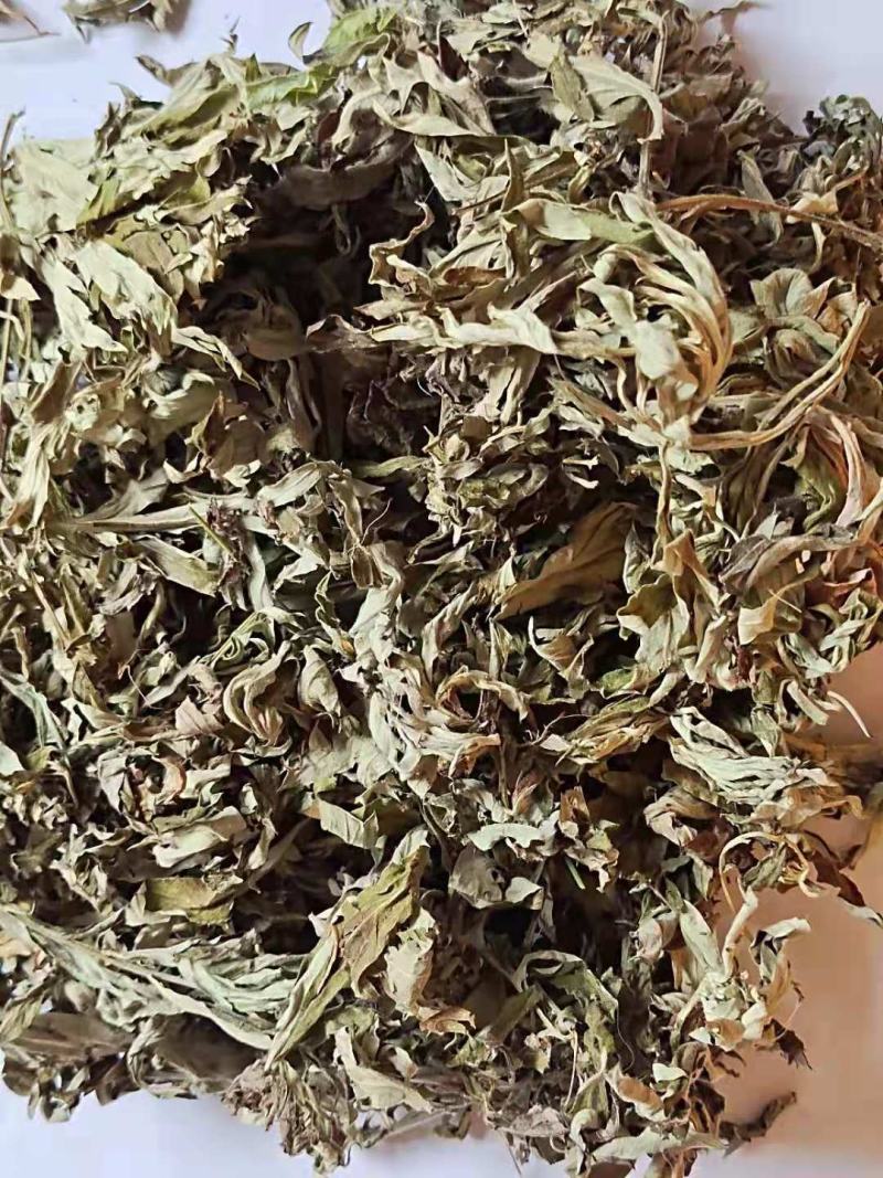 艾叶，质量保证量大从优，产地直销