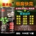 治疗型！哈茨木霉复合菌。烟草、中药材、果树、黄瓜、草莓、