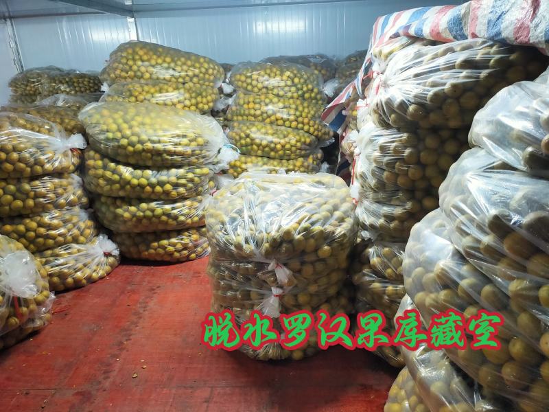 罗汉果桂林原产地批零厂！有机优果+冻干技术，不满意包退！