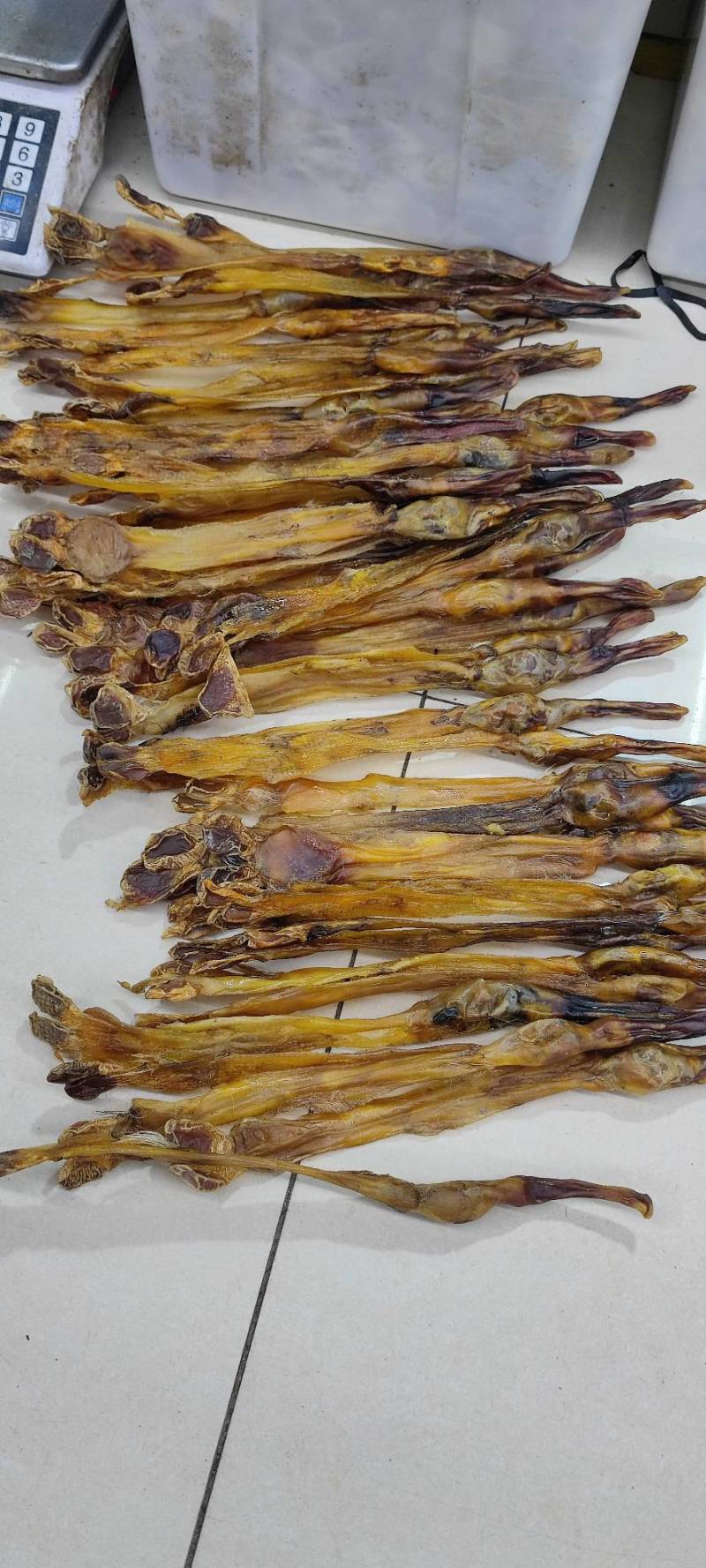 各种鞭狗鞭大全无流各种鞭大货批发中