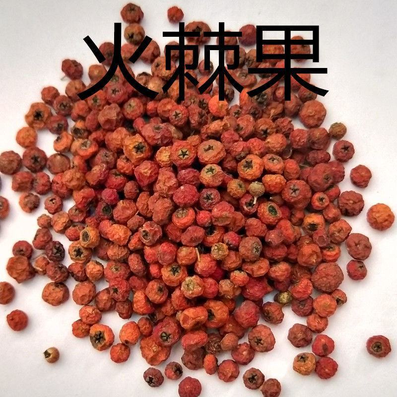 中药材火棘果火棘子火把果救兵粮救军粮赤阳子