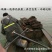 淡水小河虾一斤800粒适合油炸做虾饼一件代发专用