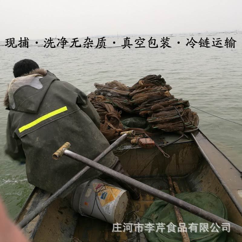 淡水小河虾一斤800粒适合油炸做虾饼一件代发专用