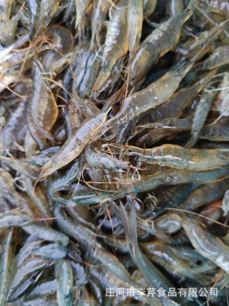 淡水小河虾一斤800粒适合油炸做虾饼一件代发专用