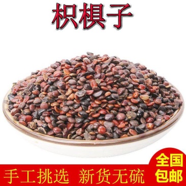 枳椇子解酒中药材新货枳椇子茶枳棋子枳具子