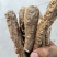 白芷香料产地直销一手货源批发零售量大从优质量保证